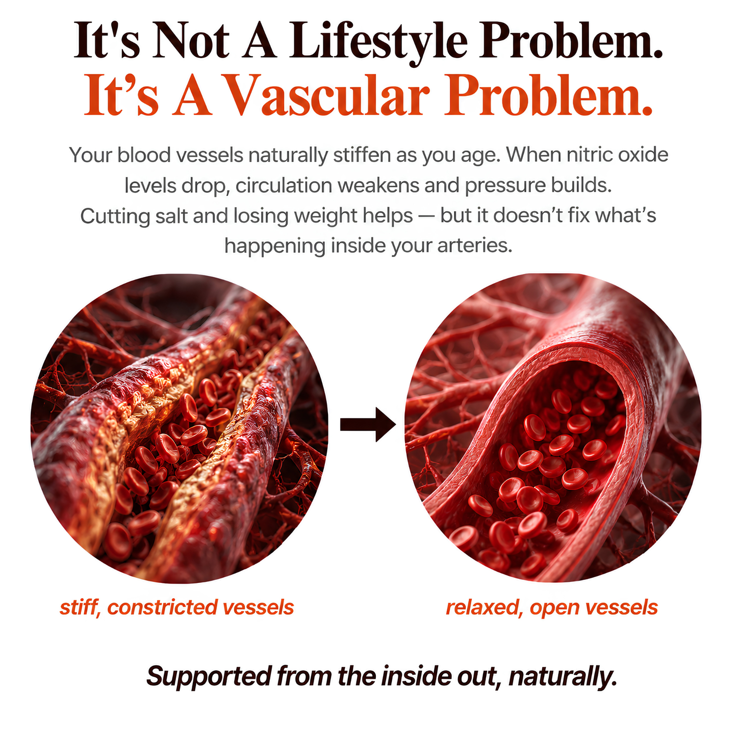 Support Your Blood Pressure Naturally