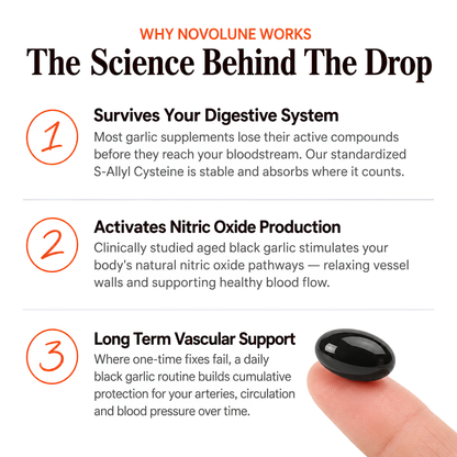 Support Your Blood Pressure Naturally