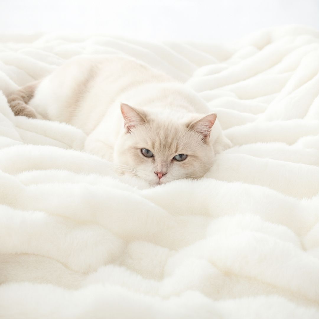 Manta de Fleece