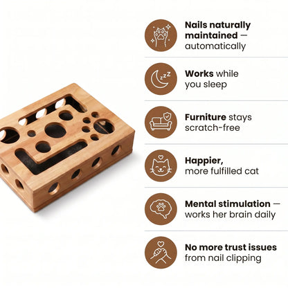 NailNest™