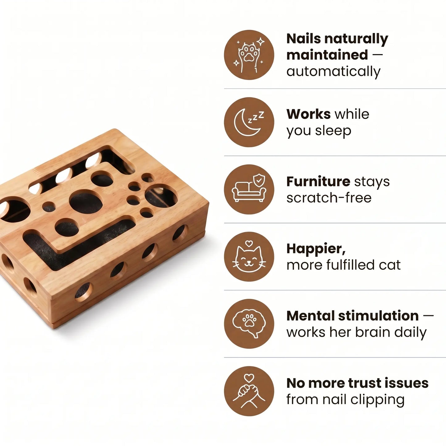 NailNest™